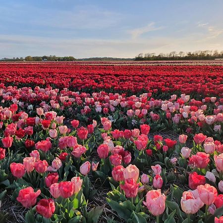 Buitenhuis Egmond Эгмонд-ан-ден-Хуф Экстерьер фото